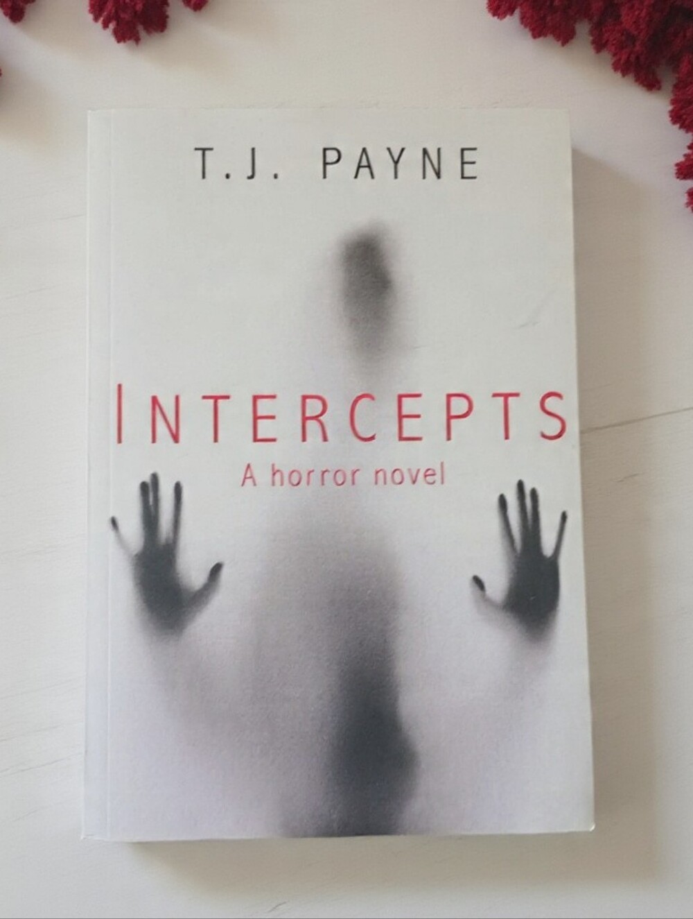 T.J. Payne Intercepts Horror Novel Paperback 2019 Tunnel Falls Indie
